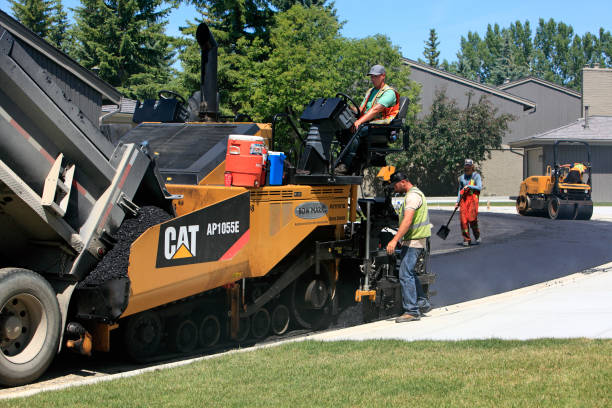 Best Driveway Pavers Near Me  in Northport, AL